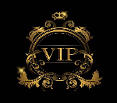 170x150 VIP Agency Netherland
